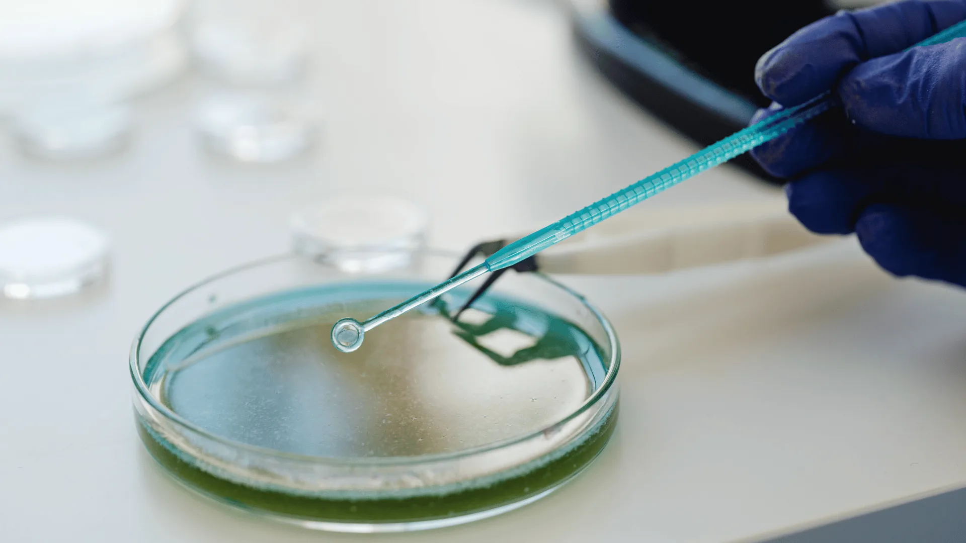 Análisis Microbiológico de Agua